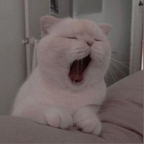 สมาชิกหมายเลข 6203762