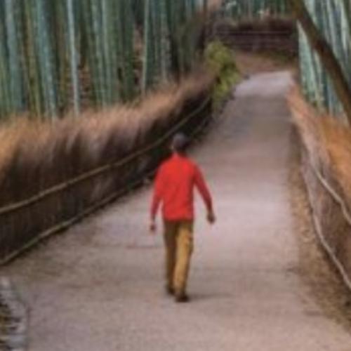 สมาชิกหมายเลข 6203836