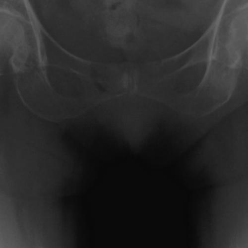 สมาชิกหมายเลข 3208747