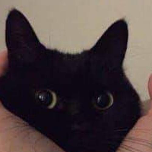 สมาชิกหมายเลข 6415546