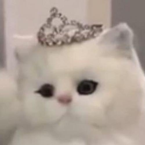 สมาชิกหมายเลข 6850368