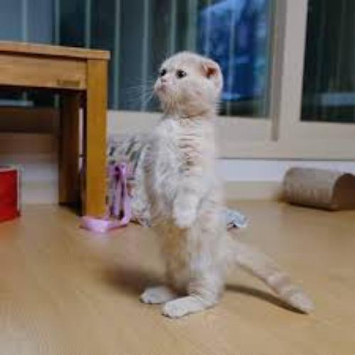 สมาชิกหมายเลข 7600412