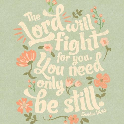 สมาชิกหมายเลข 8550098