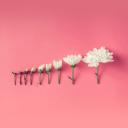 สมาชิกหมายเลข 4039201