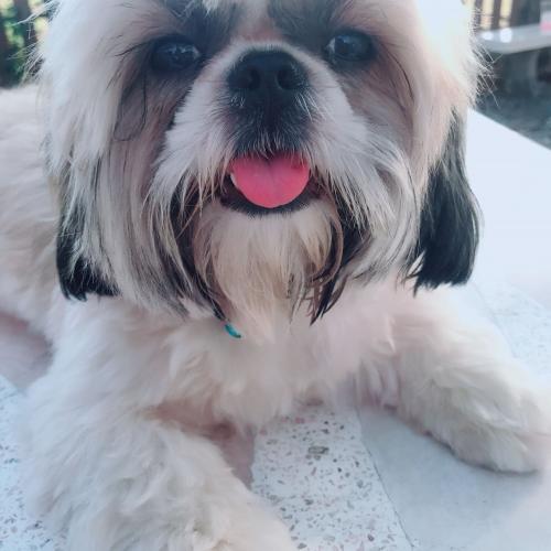 สมาชิกหมายเลข 3126697