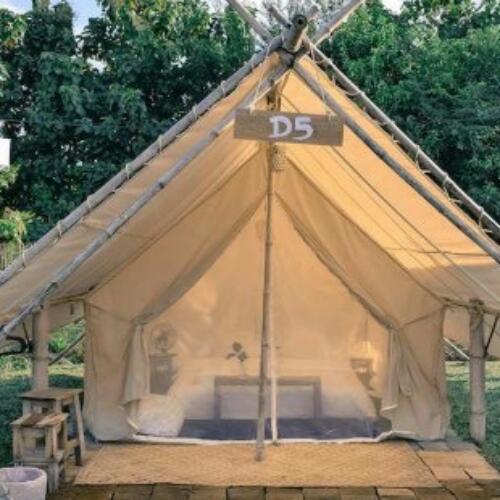 สมาชิกหมายเลข 4824655