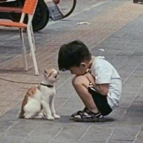 สมาชิกหมายเลข 3493069