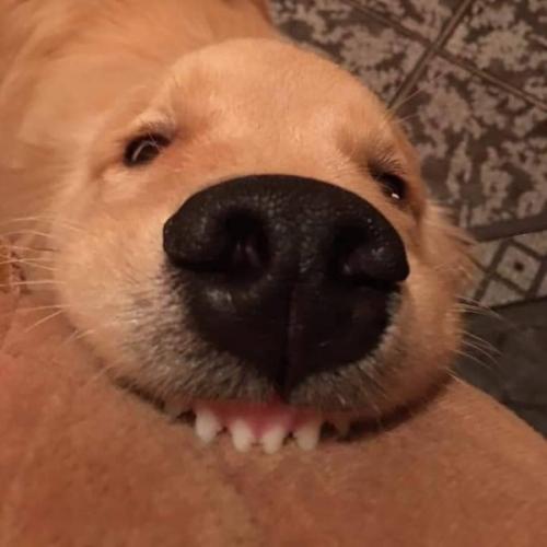 สมาชิกหมายเลข 5635004