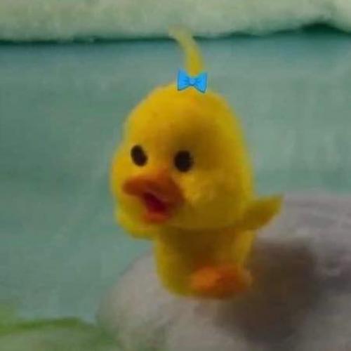 สมาชิกหมายเลข 6203786