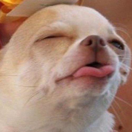 สมาชิกหมายเลข 6204504