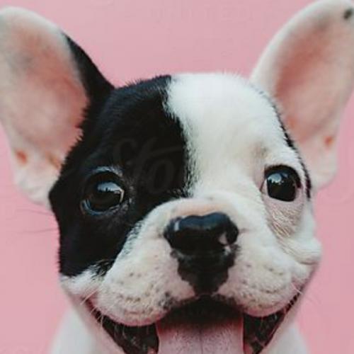 สมาชิกหมายเลข 1829044