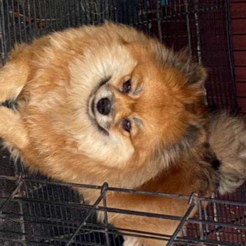 สมาชิกหมายเลข 6848767