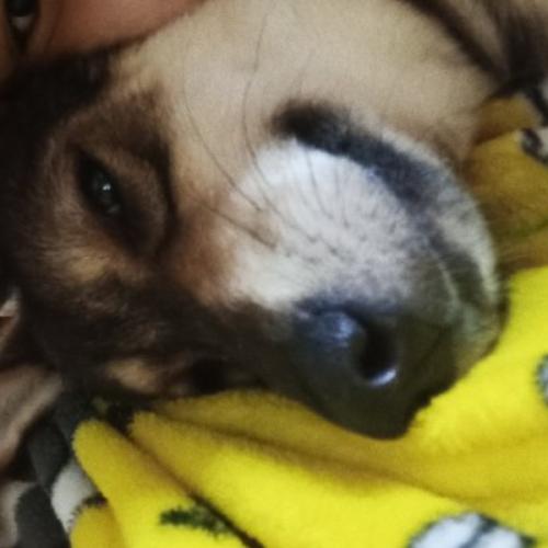 สมาชิกหมายเลข 970163