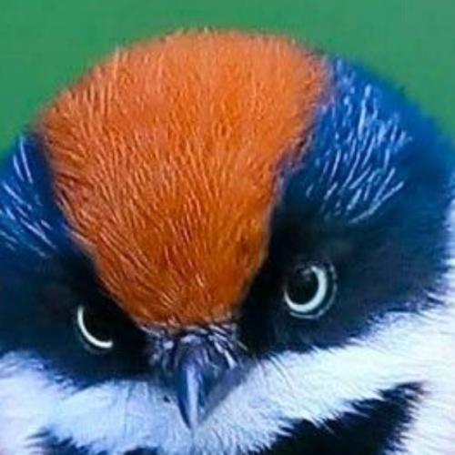 สมาชิกหมายเลข 7618486