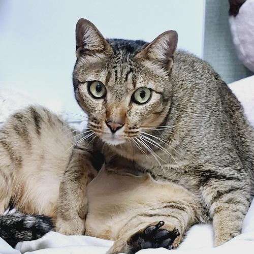 สมาชิกหมายเลข 3801545