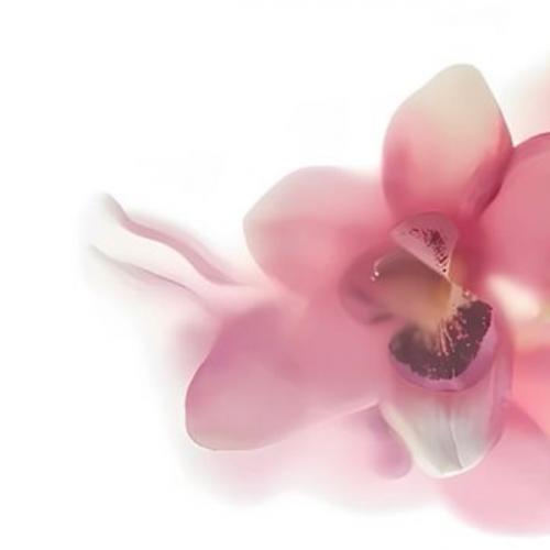 สมาชิกหมายเลข 8551425