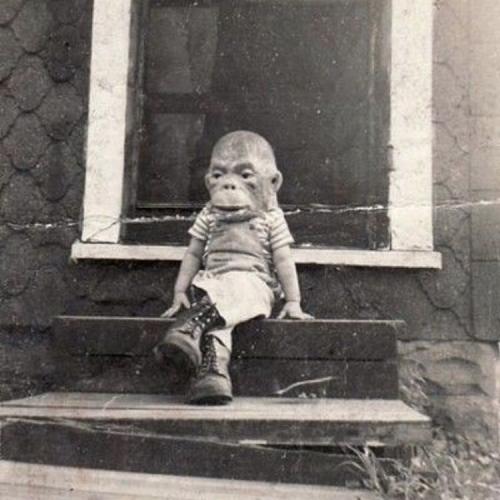 สมาชิกหมายเลข 3571880