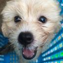 สมาชิกหมายเลข 3879971