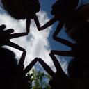 สมาชิกหมายเลข 4039817