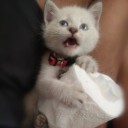 สมาชิกหมายเลข 4039954