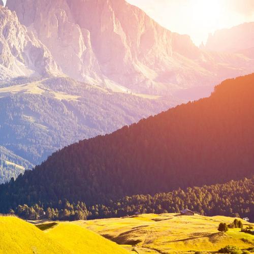 สมาชิกหมายเลข 4498613