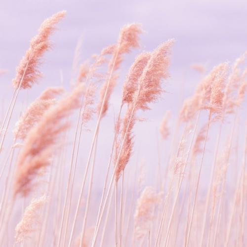 สมาชิกหมายเลข 3210194