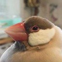 สมาชิกหมายเลข 4472694