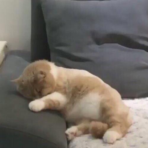 สมาชิกหมายเลข 5216939