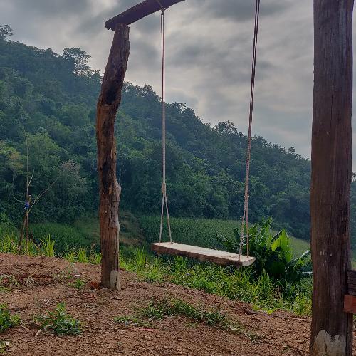 สมาชิกหมายเลข 3669505