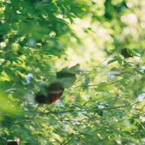 สมาชิกหมายเลข 1671231