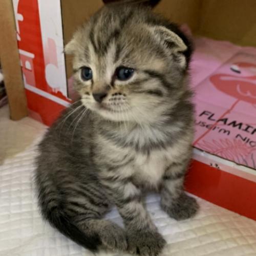 สมาชิกหมายเลข 6204662