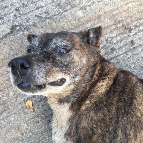 สมาชิกหมายเลข 5111984