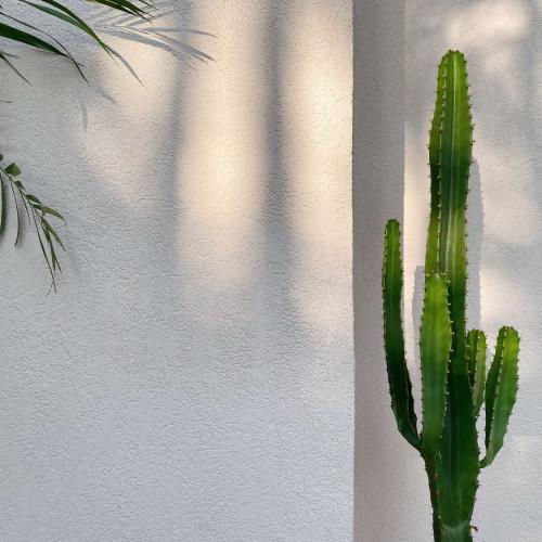 สมาชิกหมายเลข 6851308