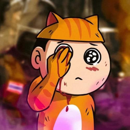 ออกพญาพาราเซตามอล