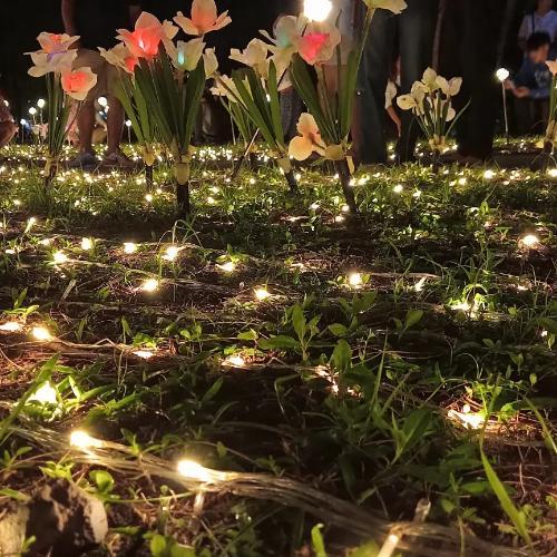 สมาชิกหมายเลข 8401988