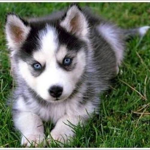 สมาชิกหมายเลข 4040445