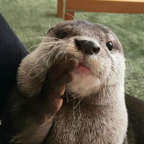 สมาชิกหมายเลข 3894526