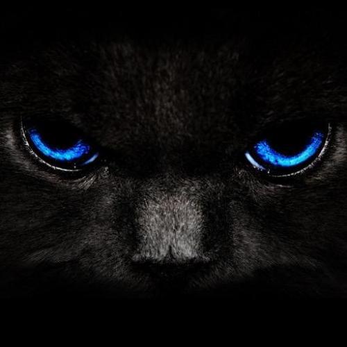 สมาชิกหมายเลข 4831296