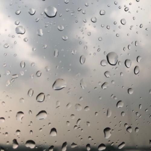 สมาชิกหมายเลข 2458918