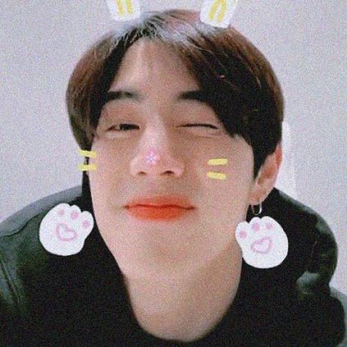 สมาชิกหมายเลข 5217068