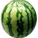 สมาชิกหมายเลข 5217102