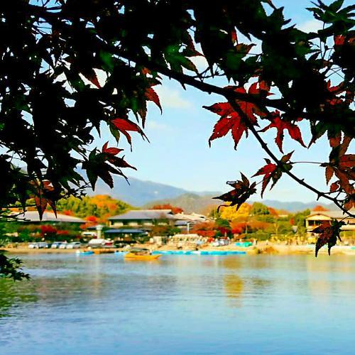 สมาชิกหมายเลข 3385739