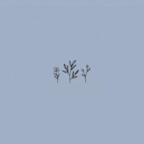 สมาชิกหมายเลข 3720117