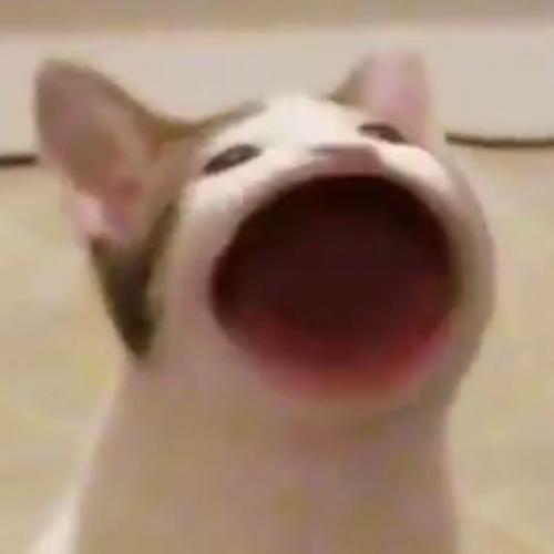 สมาชิกหมายเลข 4021167