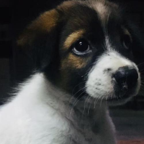 สมาชิกหมายเลข 6098155