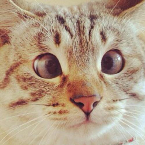 สมาชิกหมายเลข 6197125