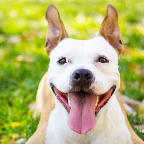 สมาชิกหมายเลข 6205472