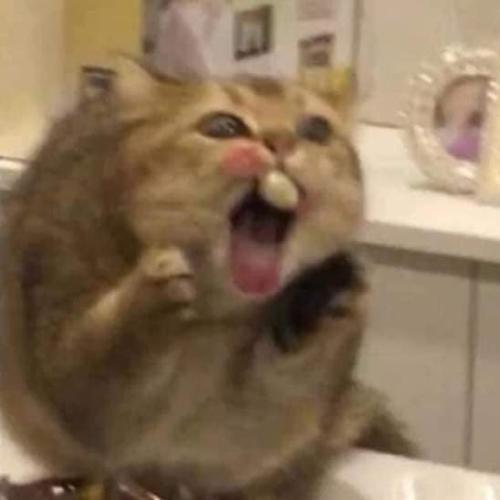 สมาชิกหมายเลข 3673874