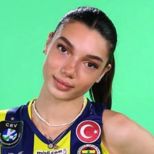 สมาชิกหมายเลข 6690676