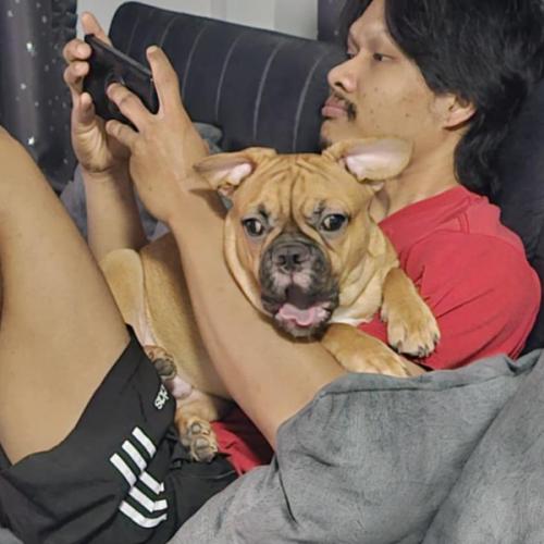 สมาชิกหมายเลข 1186995